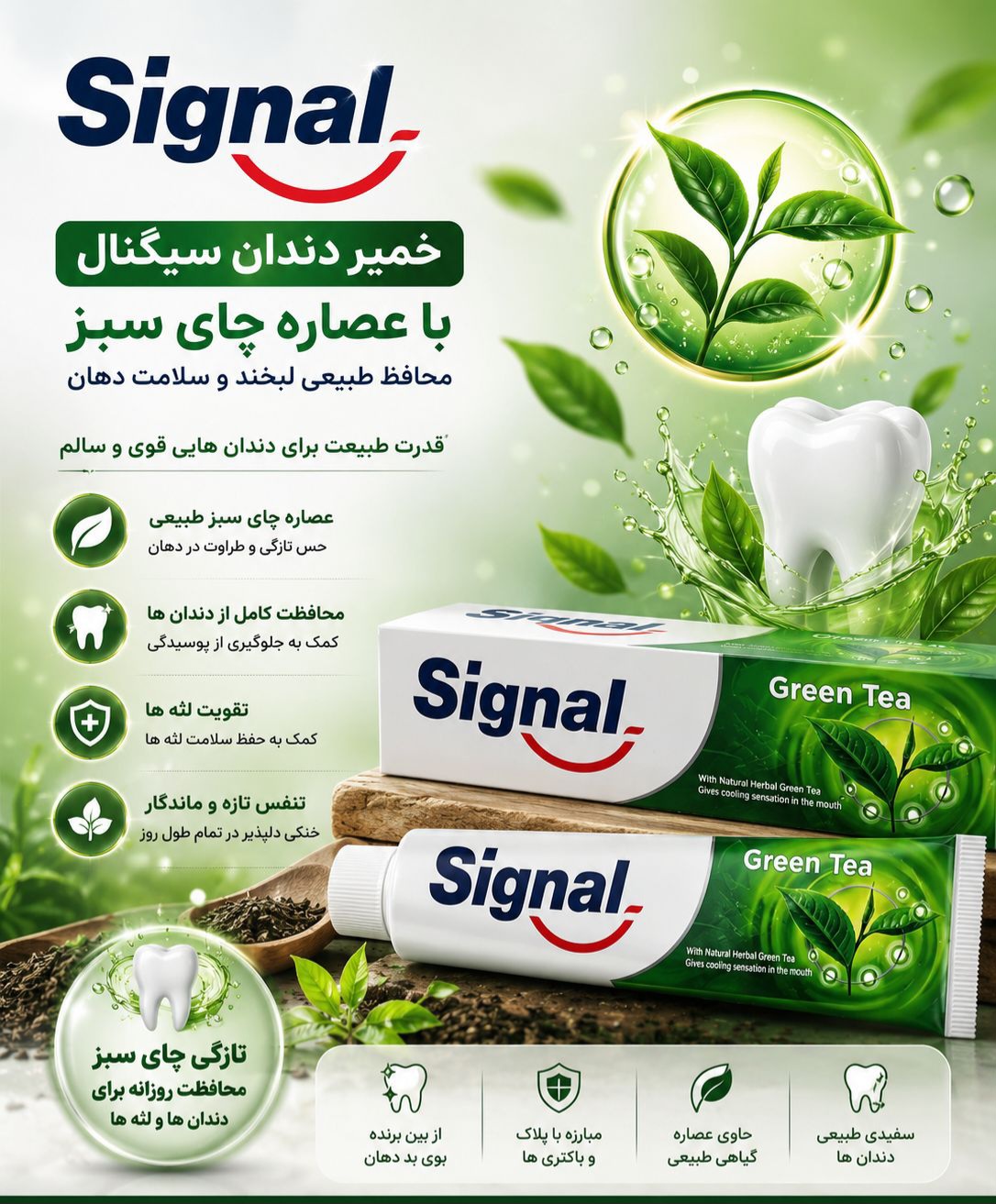 خمیر دندان Signal اصلی ویتنام