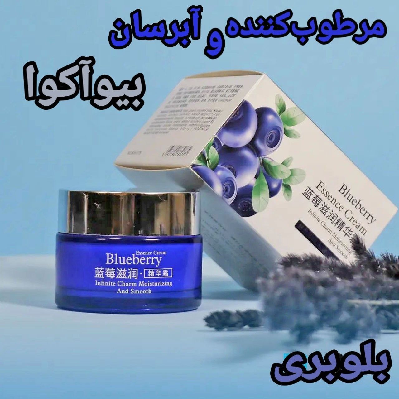 آبرسان کاسه ای بلوبری بیاکوا